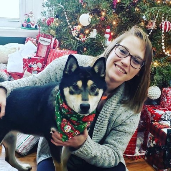 Meet your Posher, Chelsea - Picture 1 of 1